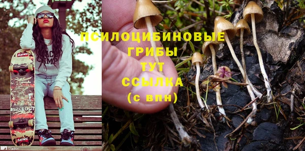 mdma Дмитровск