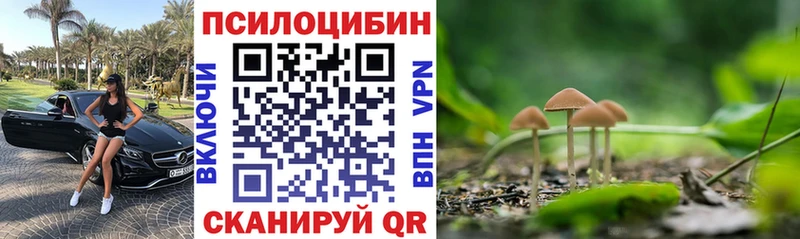 Псилоцибиновые грибы GOLDEN TEACHER Уяр