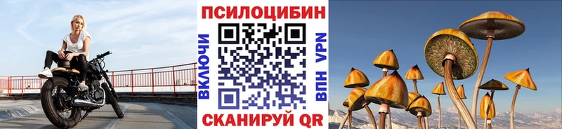 где купить наркоту  Уяр  Псилоцибиновые грибы GOLDEN TEACHER 
